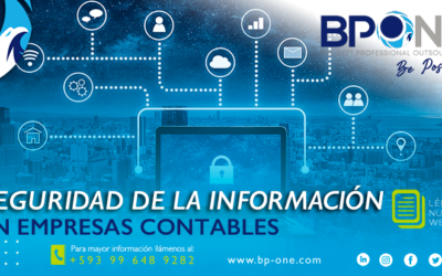 Seguridad de la Información en Empresas Contables