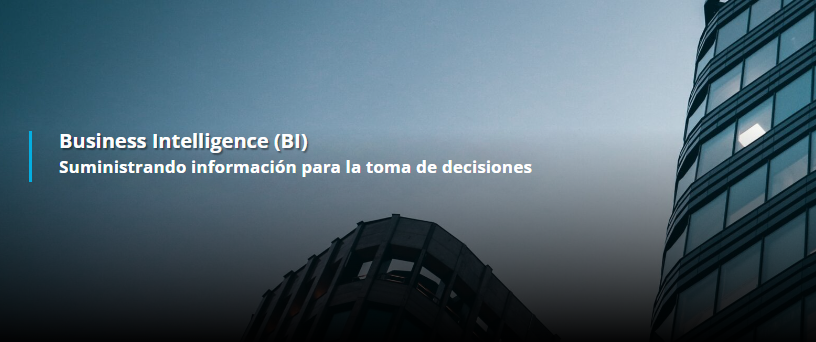 Business Intelligence (BI)