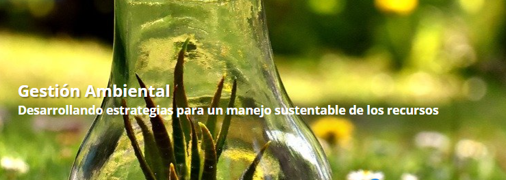 Gestión Ambiental